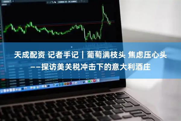 天成配资 记者手记｜葡萄满枝头&#32;焦虑压心头——探访美关税冲击下的意大利酒庄