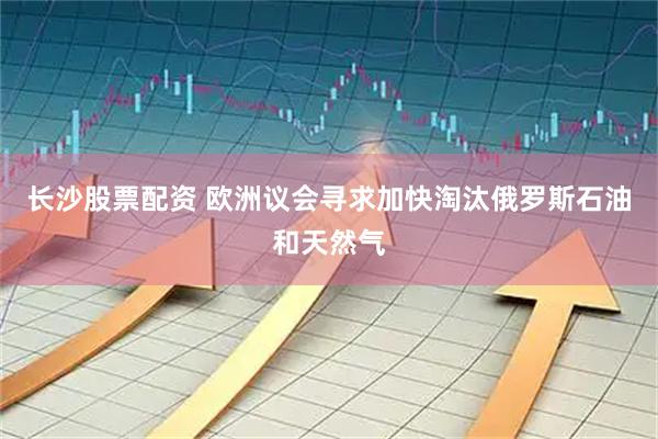 长沙股票配资 欧洲议会寻求加快淘汰俄罗斯石油和天然气