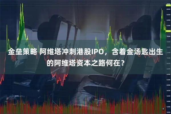 金垒策略 阿维塔冲刺港股IPO，含着金汤匙出生的阿维塔资本之路何在？